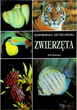 Ilustrowana Encyklopedia zwierzęta 413 ilustracji