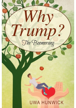 Why Trump? The Boomerang