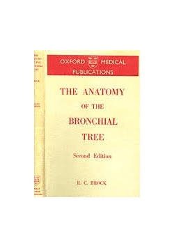 The Anathomy of the bronchial tree