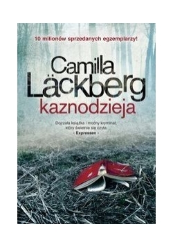 Kaznodzieja, nowa