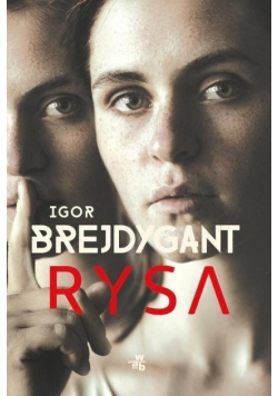 Rysa