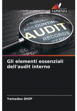 Gli elementi essenziali dell'audit interno