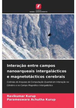 Interação entre campos nanoarqueais intergalácticos e magnetotácticos cerebrais
