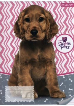 Zeszyt A5 Sweet Pets w trzy linie 16 kartek 10 sztuk