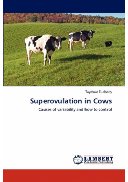 Superovulation in Cows