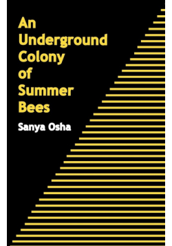 An Underground Colony of Summer Bees