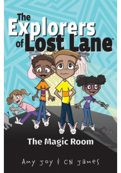 The Magic Room