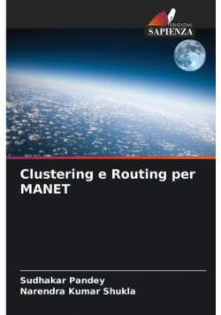 Clustering e Routing per MANET