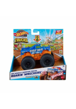 Hot Wheels Monster Trucks Pojazd 1:43 HMM53