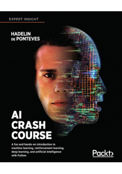 AI Crash Course