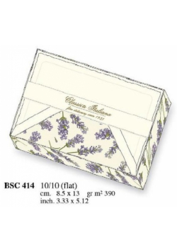 Papeteria box 10 kartek i 10 kopert BSC 414