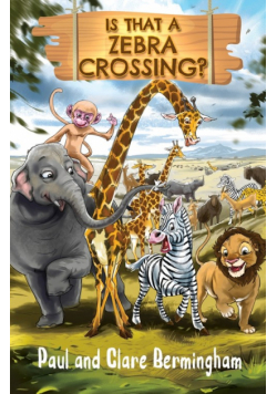 Is That a Zebra Crossing?