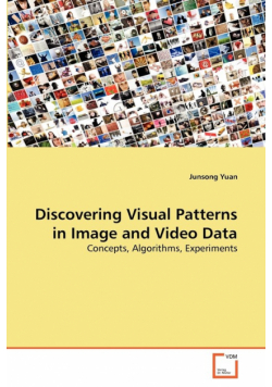 Discovering Visual Patterns in Image and Video Data
