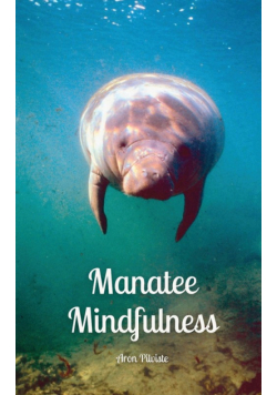 Manatee Mindfulness