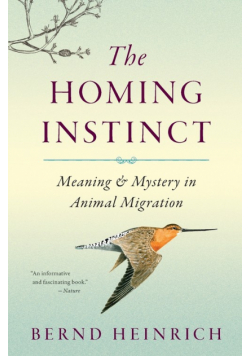 Homing Instinct
