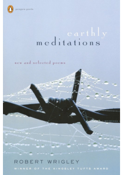 Earthly Meditations