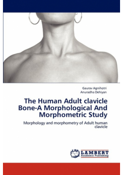 The Human Adult clavicle Bone-A Morphological And Morphometric Study