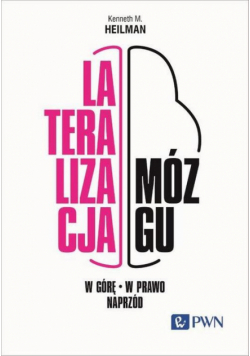 Lateralizacja mózgu W górę - w prawo - naprzód