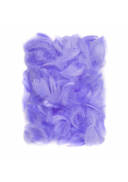 Piórka lilac 5-12cm 10g
