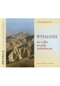Wypalenie nie tylko na polu zawodowym, Audiobook