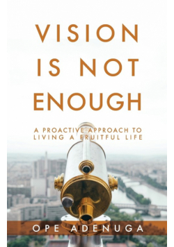 Vision Is Not Enough
