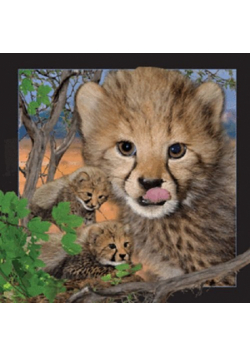 Magnes 3D - Gepard