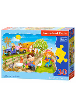 Puzzle 30 A Day on the Farm