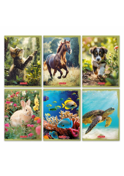 Zeszyt A5/32K linia Animals (10szt)