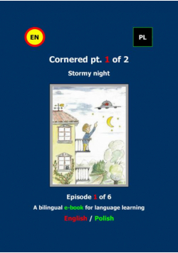 Cornered Osaczony Stormy night 1 A bilingual e-book Dwujęzyczna e-książka
