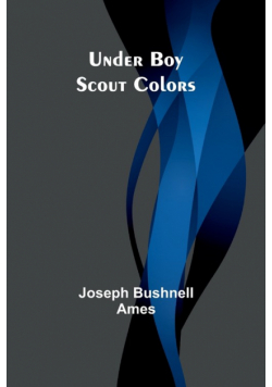 Under Boy Scout Colors