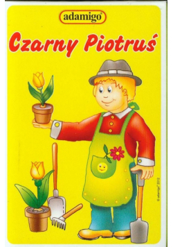 Gra Towarzyska Czarny Piotruś Zawody i ich atrybuty