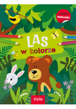 W kolorze. Las. W kolorze