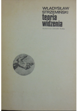 Teoria widzenia
