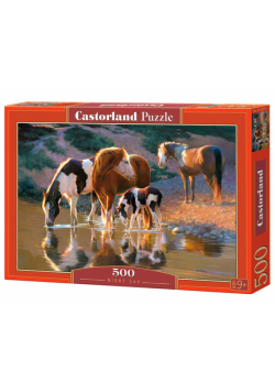 PuzzleNight Cap 500