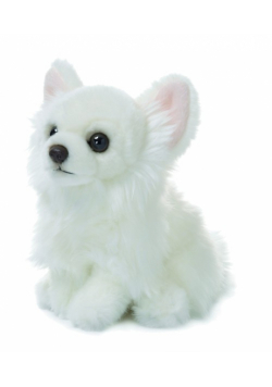 Chihuahua 19 cm