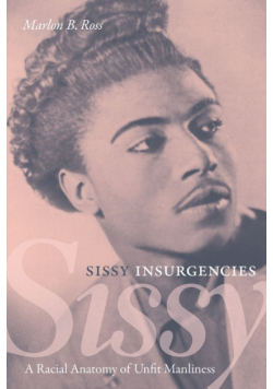 Sissy Insurgencies