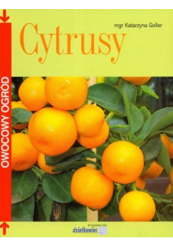 Cytrusy