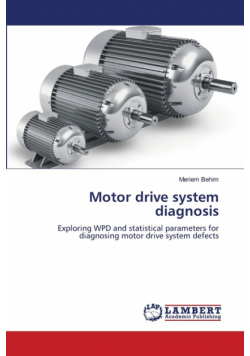 Motor drive system diagnosis