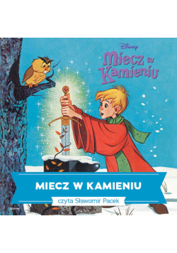 Miecz w kamieniu