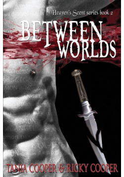 Between Worlds