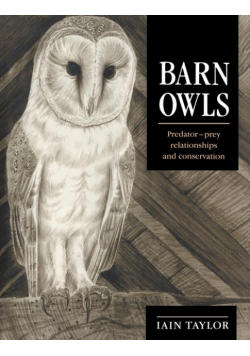 Barn Owls