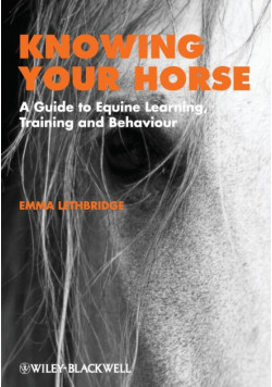 Knowing Horse