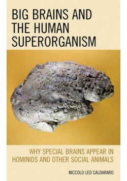 Big Brains and the Human Superorganism