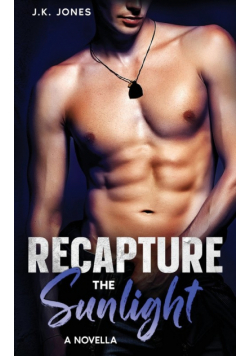 Recapture the Sunlight