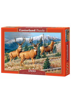 Puzzle Up the Mountain 1500