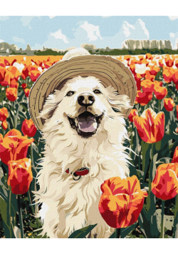 Malowanie po numerach -Szczęśliwy labrador 40x50cm