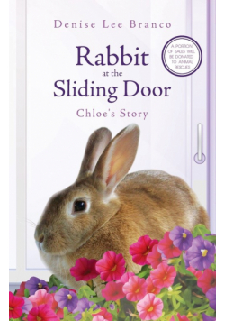 Rabbit at the Sliding Door