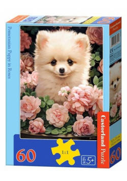 Puzzle 60 Pomeranian Puppy in Roses B-066261