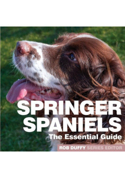 Springer Spaniels