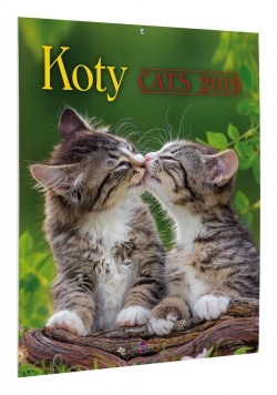 Kalendarz 2019 KSM-4 Koty AVANTI